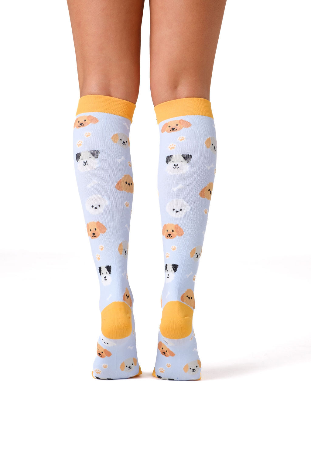 Paws Galore Compression Socks